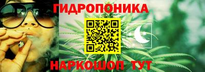 дживик Нальчик