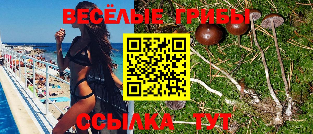 магазин продажи наркотиков  Вход с VPN  Фурманов  Псилоцибиновые грибы мицелий 