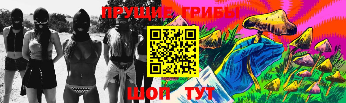 Псилоцибиновые грибы Psilocybe Фурманов